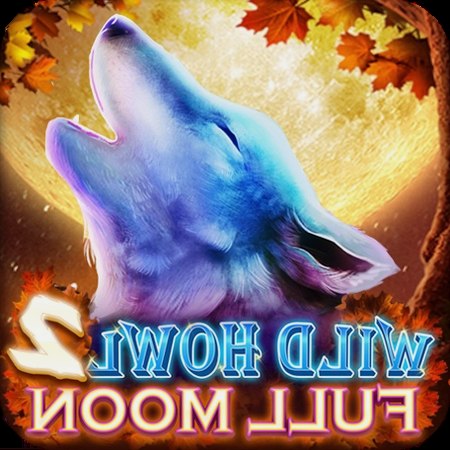 👑 Chương trình VIP IBET9